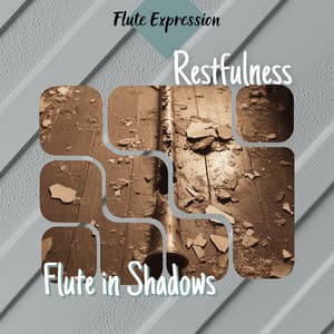 Restfulness - Flute in Shadows - Flute Expression