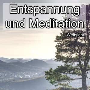 Entspannung und Meditation - Weitsicht - Ambient Sound Collective