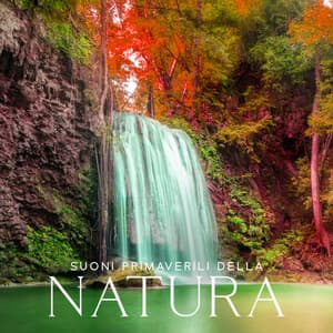 Suoni primaverili della natura: Uccelli mattutini, Pioggia mattutina delicata, Fiume rilassante, Vento rilassante e onde dell'oceano calmanti - Rilassamento Musica Zona