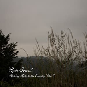 Rain Sound: Trickling Rain in the Evening Vol. 1 - Dogs Music Therapy