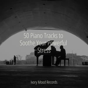 50 Piano Tracks to Soothe Your Powerful Stress - Ivory Mood