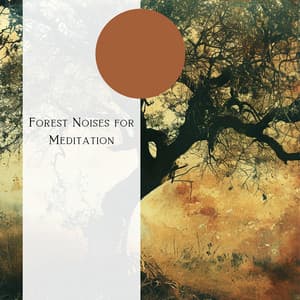 Forest Noises for Meditation - Natural Forest FX