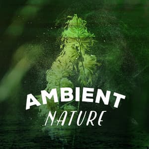 Ambient Nature - Nature Sounds for Concentration