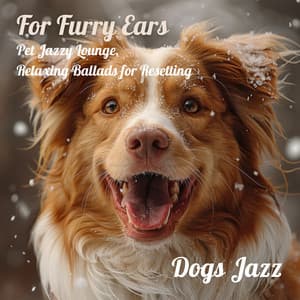For Furry Ears: Pet Jazzy Lounge, Relaxing Ballads for Resetting - Dogs Jazz
