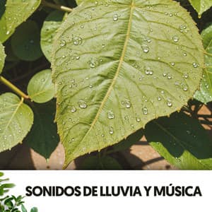 Sonidos de Lluvia y música: Melodías bajo la lluvia - Dog Relaxation