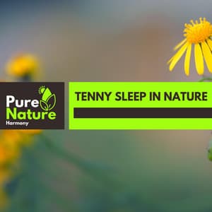 Tenny Sleep in Nature - Nature Field Recordings