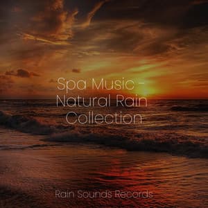 Spa Music - Natural Rain Collection - Lullabies for Deep Meditation