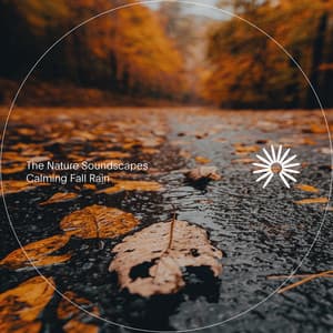 Calming Fall Rain - The Nature Soundscapes