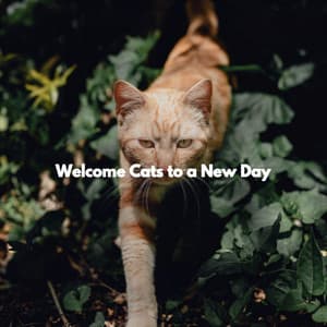 Welcome Cats to a New Day - Breakfast Jazz Playlist