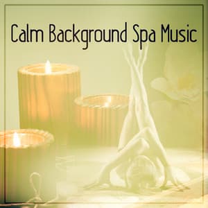 Calm Background Spa Music – Chill Out Music, Calming Music, Mindfulness Meditation, Yoga Poses, Spiritual Healing, Relaxing Music, Massage Therapy, Serenity Spa Sounds - Chilling Spa Universe