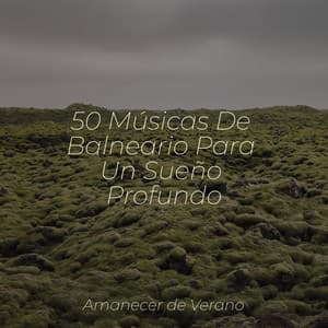 50 Músicas De Balneario Para Un Sueño Profundo - Baby Lullaby