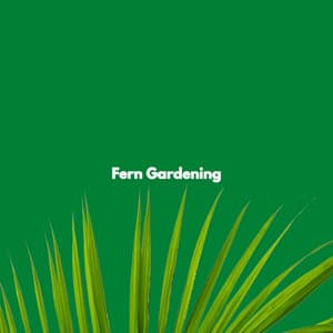 Fern Gardening - Ristorante Jazz Ambiente