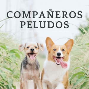 Compañeros Peludos: Melodías Suaves De La Naturaleza - Vibraciones de la Naturaleza