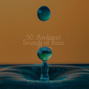 50 Ambient Sounds of Rain Sleep - Sleep Sound Library