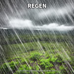 Regen zum Chillen und Einschlafen auch für Tiere - Regengeräusche