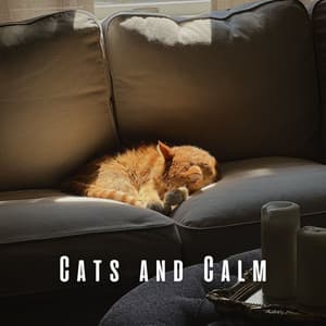 Cats and Calm: Ambient Music Harmony - Halcyon Lounge