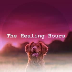 The Healing Hours - Dog Music Hour