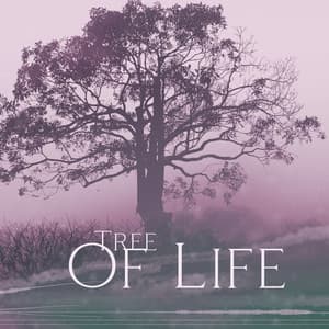 Tree Of Life: Heal Your Soul And Shine! - Geo Experience
