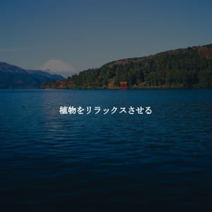 植物をリラックスさせる - Musica per Rilassarsi