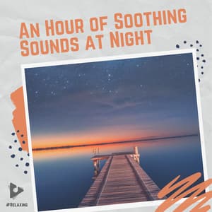 An Hour of Soothing Sounds at Night - #Relaxing