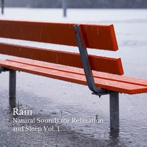 Rain: Perfect Ambient Sounds for Inner Contemplation Vol. 1 - Water sound bank