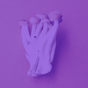 Music for Storytelling - Reading Music Deluxe