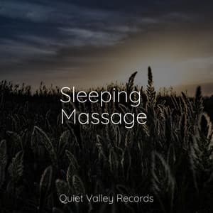 Sleeping Massage - Tibetan Singing Bowls for Relaxation