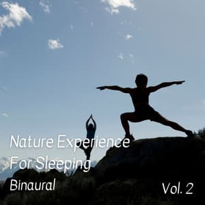 Binaural: Nature Experience For Sleeping Vol. 2 - Binaural Movements