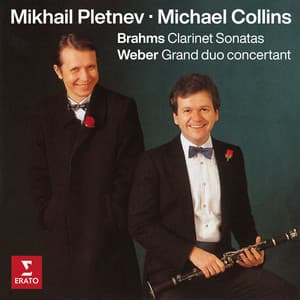 Brahms: Clarinet Sonatas, Op. 120 - Weber: Grand duo concertant, Op. 48 - Michael Collins