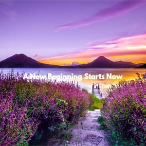 A New Beginning Starts Now - Musique Jazz Relaxante