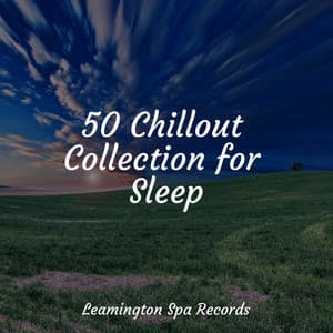 50 Chillout Collection for Sleep - Lightning