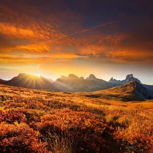 Orquesta De Armonías: Flujo Musical Relajante - Elliot Braun