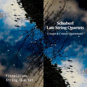 Schubert: Late String Quartets. G Major & C Minor 'Quartettsatz' - Franz Schubert
