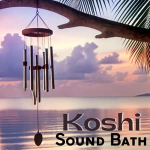 Koshi Sound Bath: Healing Chimes for Anxiety and Overthinking - Ali Dhyana
