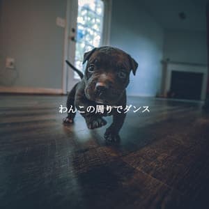 わんこの周りでダンス - Cooking Background Music