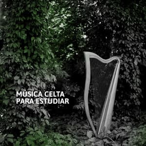 Música Celta para Estudiar: Arpa Relajante y Sonidos de Agua para Calmar los Nervios antes de Examen - Academia de Música con Sonidos de la Naturaleza