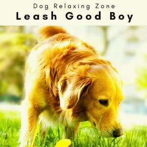 2 0 2 3 Leash Good Boy - Dog Relaxing Zone