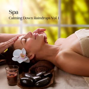 Spa: Calming Down Raindrops Vol. 1 - Spa Music