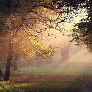 Awakening Earth: Melodies in the Heart of Nature - Granular Soundscape