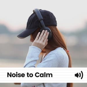 Noise to Calm - Airplane White Noise