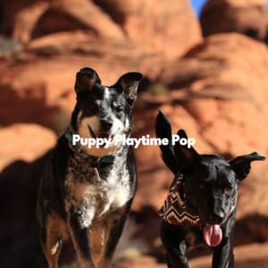 Puppy Playtime Pop - Musica para Hoteles De Lujo