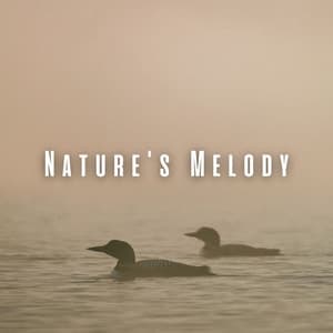 Nature's Melody: Loon Sounds for a Healing Massage ASMR - Next Nature