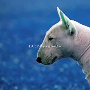 わんこのデイ・クルーナー - Cafe BGM