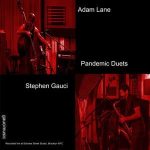 Pandemic Duets - Stephen Gauci