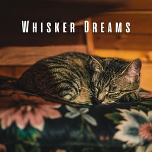 Whisker Dreams: Music for Cozy Cats - Cosy Music Deluxe
