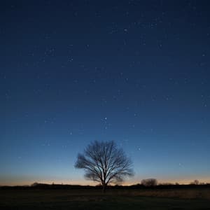 Música Para Relajación: Ecos Armónicos Suaves - Musica Relajante Música De Fondo