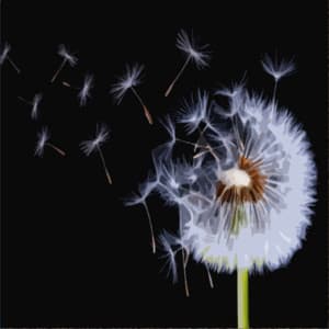 Wind and Rain for Background Sounds and Natural White Noise - Mother Nature Sound FX