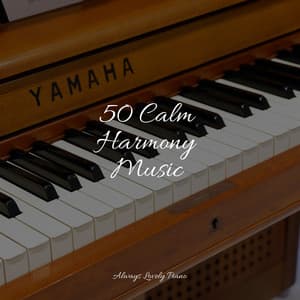 50 Calm Harmony Music - Piano Bar Music Specialists
