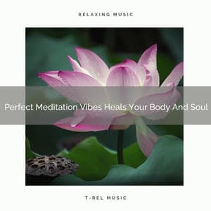 Perfect Meditation Vibes Heals Your Body And Soul - Spa And Soft Relax