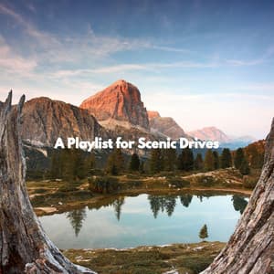 A Playlist for Scenic Drives - Lunch Time Jazz Playlist